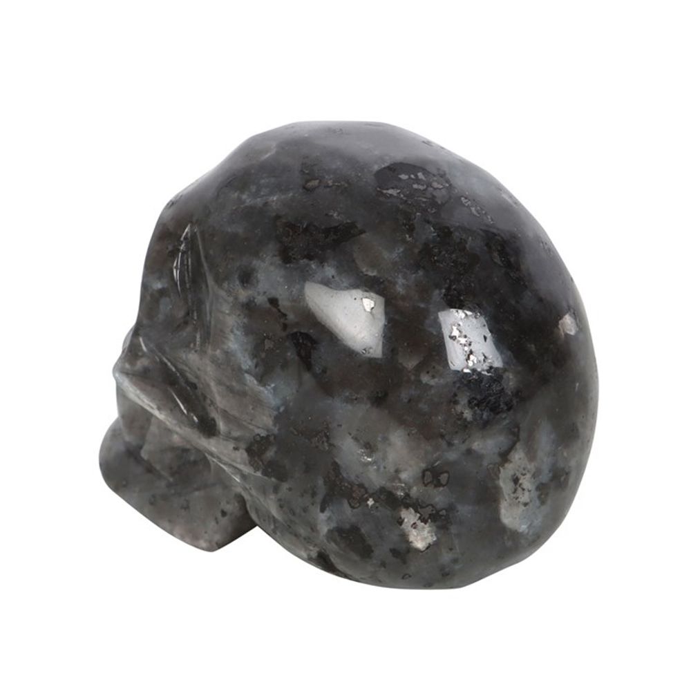 Abundance - Black Labradorite Crystal Skull