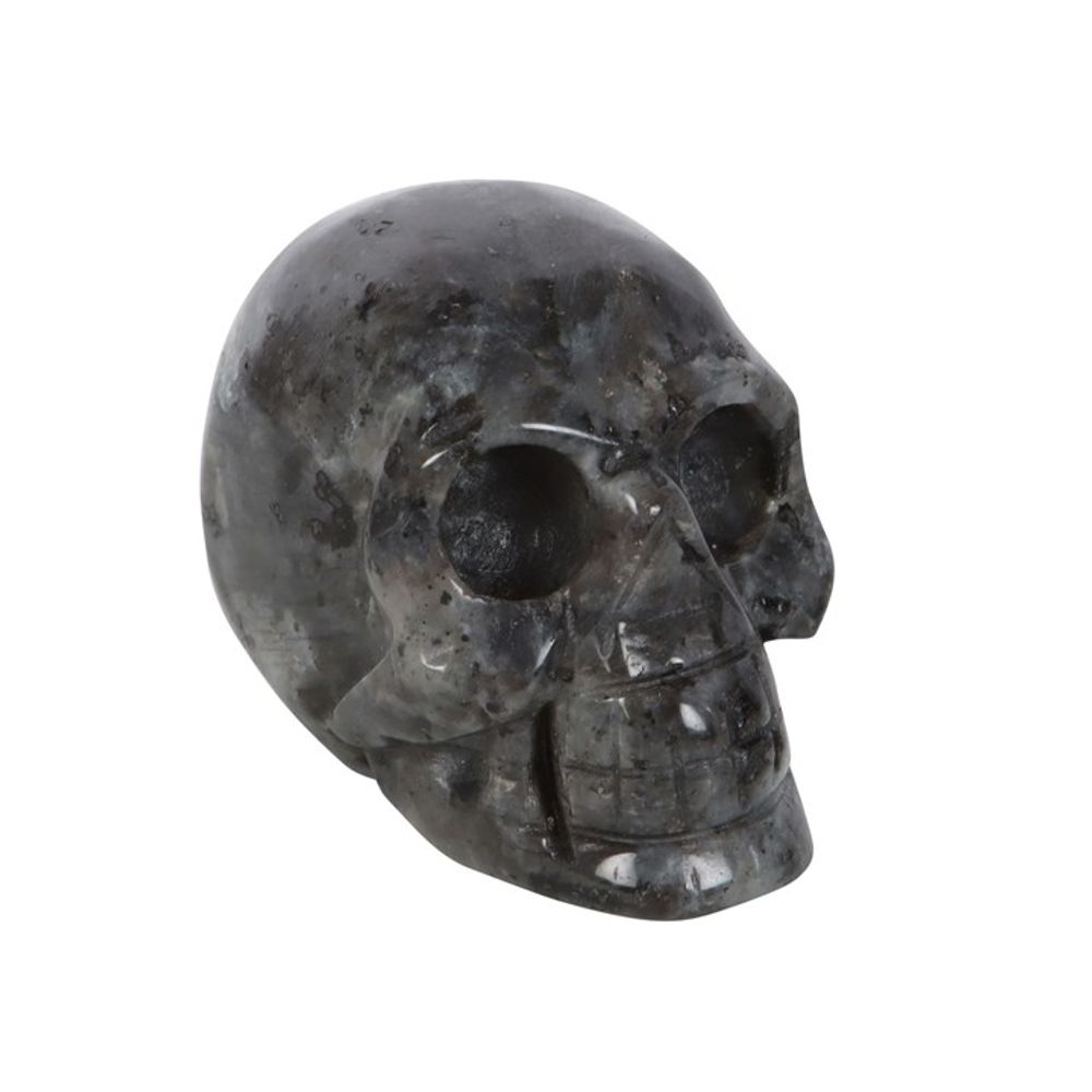 Abundance - Black Labradorite Crystal Skull