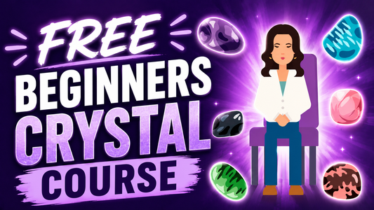 BEGINNERS COURSE